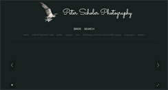 Desktop Screenshot of peterscholer.com