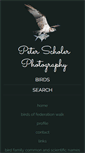 Mobile Screenshot of peterscholer.com